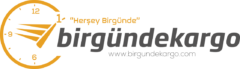 Bir Günde Kargo Logo